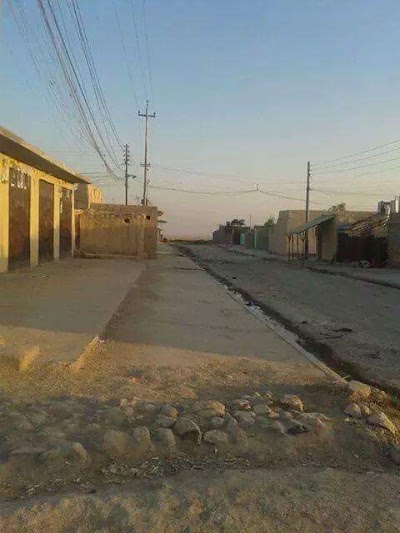 Photos of Cree Zrca