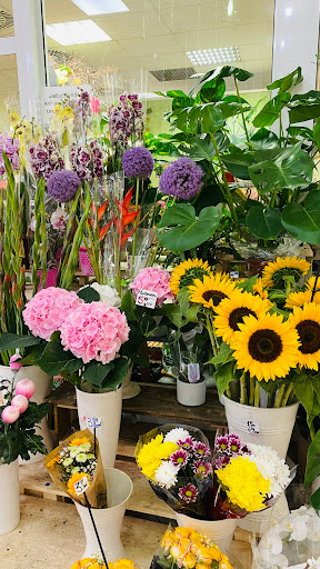 Blumen Forum - Thumbnail