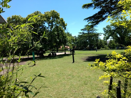 Escuela Secundaria Villa Silvina, Author: Guillermo di Mauro