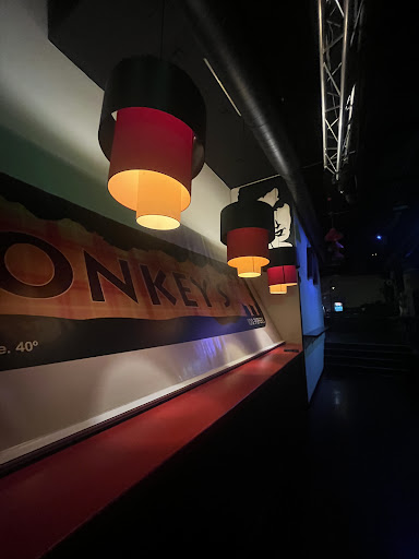 Monkey Bar La Laguna Gallery - Spain