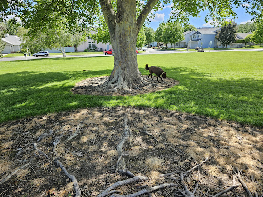 Chaparral Park - Thumbnail