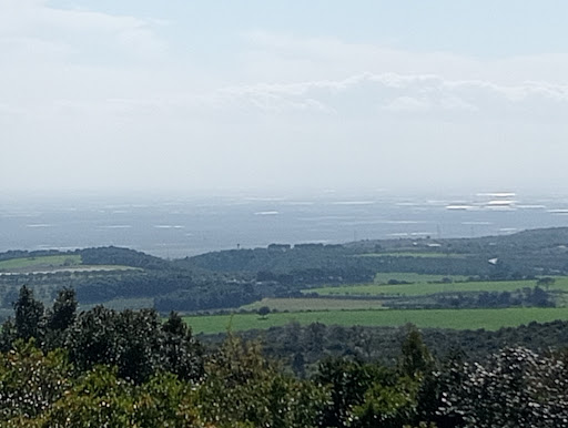 Radura Gioale - Visual