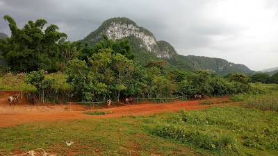 photo of Cafeteria.