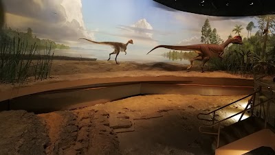 Photos of Dinosaur State Park