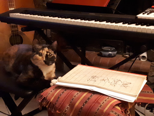 Studio Syd BARRETT - Thumbnail