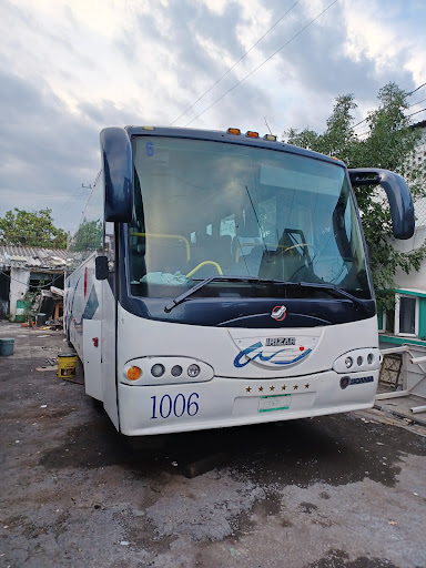 Autobuses GFP - Thumbnail