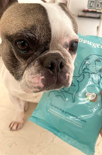 Pawgeous Dog & Cat Wipes - Thumbnail