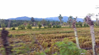 Photos of BBI Bate Iliek