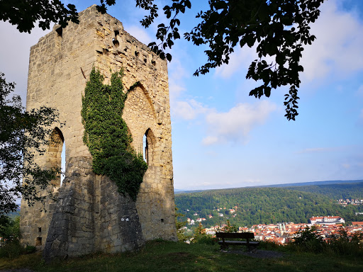 Ruine Donopskuppe