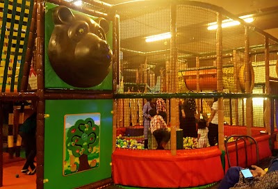 Photos of Jungle Gym