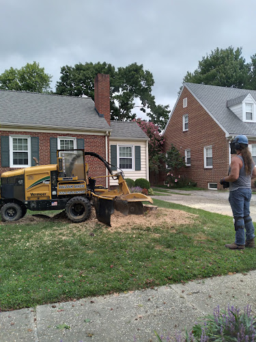 Arborista Tree Care