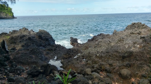 Hawaii Tropical Botanical Garden