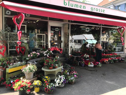 Blumen Grosse