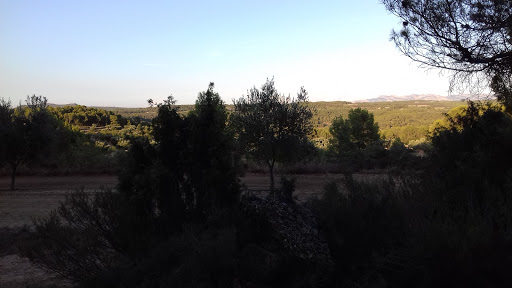 Tozal Montañés - Thumbnail