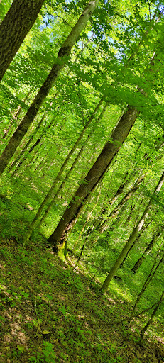 Smokey mountains state park Gallery - United States