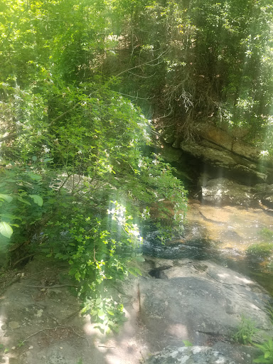 Shoal Creek Picnic Area - Thumbnail