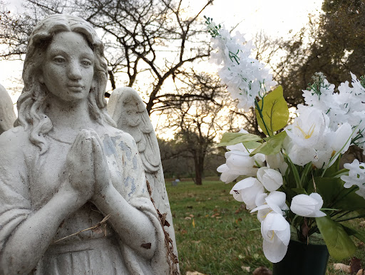 Grosse Ile Memorial Cemetery - Thumbnail