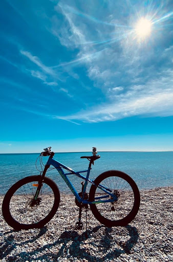 Pickering Beach - Visual