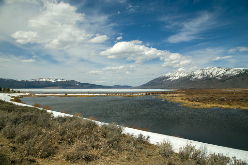 Caddis Loop - Visual