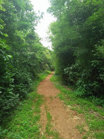 Photos of TD's Family Trekking Service