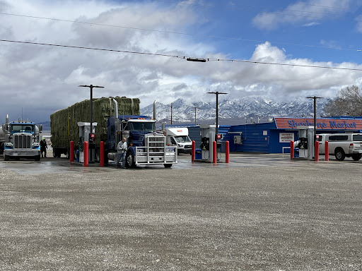 Shoshone Market