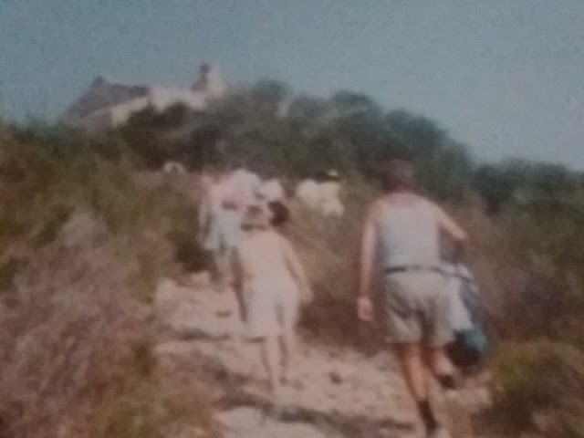 Monti dell'Uccellina