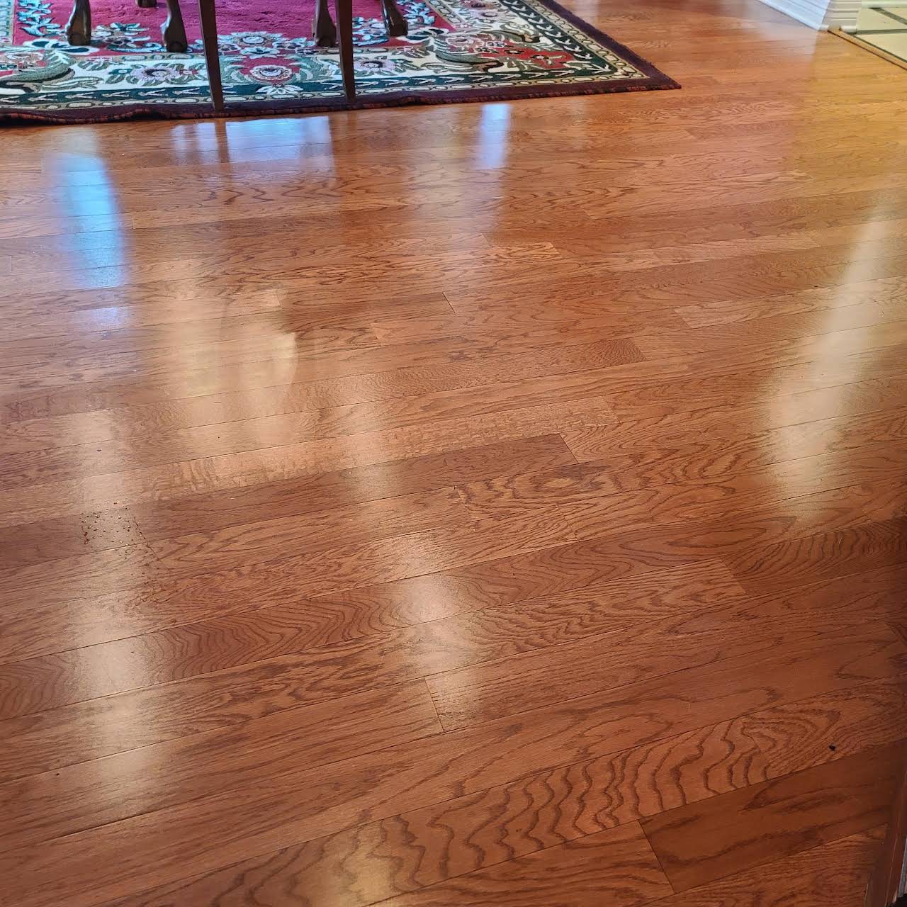 Rug Ratz Professional Carpet Cleaner Carpet Tile Cleaning Shreveport Louisiana Carpet Cleaning Tile Brick Hardwood Pressure Washing Service In Shreveport