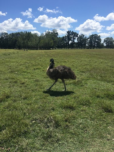 Wild Country Safari Park