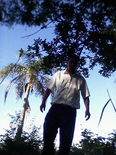 park