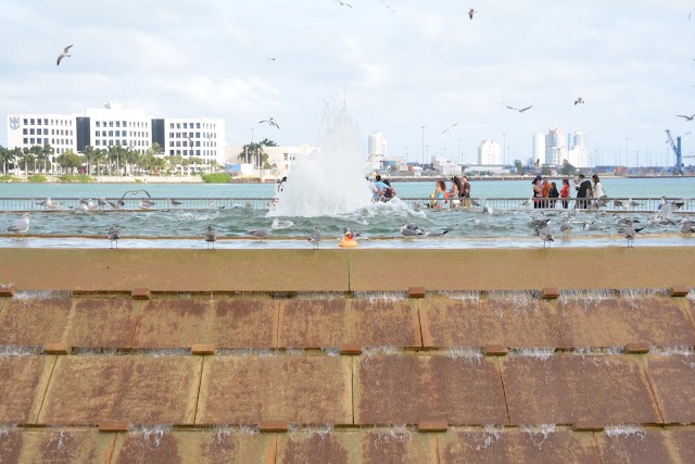 Bayfront Park Station