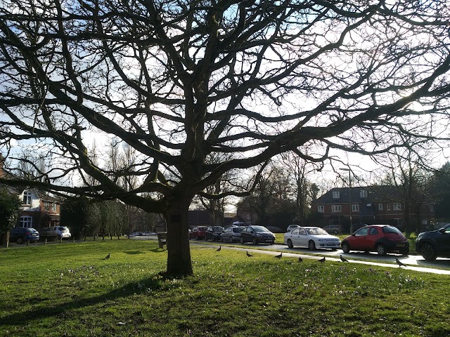 Frimley Park Hospital