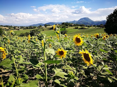 natural-feature