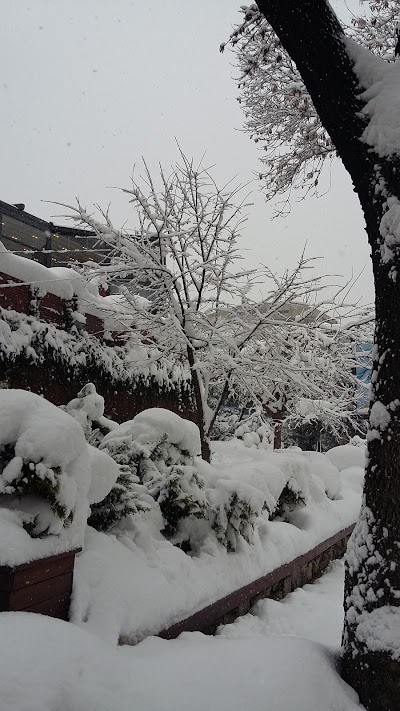 Photos of İstanbul Manifatura ve Kumaş&ccedil;ılar &Ccedil;arşısı İşletme Kooperatifi