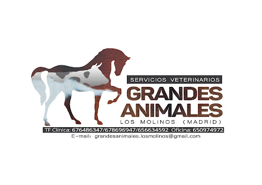 Clínica veterinaria grandes animales los Molinos