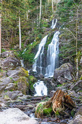 Photo n°14 de Domaine Des Iris: Chambre d'hôtes à la campagne au calme, proche Gérardmer, pistes de ski et des marchés de Noël, Vosges à Anould (Chambre d'hôtes)