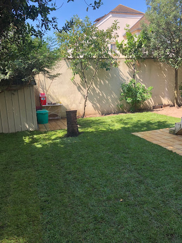 ELAGUEUR ARGENTEUIL 95 JARDINIER PAYSAGISTE CREATION POSE PELOUSE | SW ESPACES VERTS - Versailles