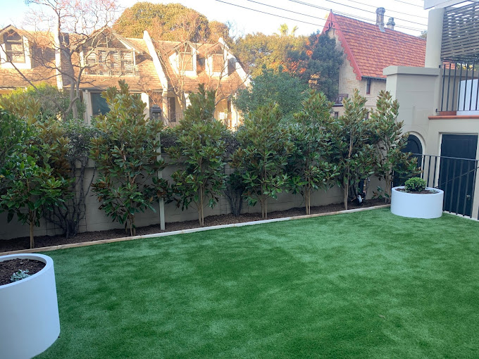 Professional Landscapers at Your Service in Sydney