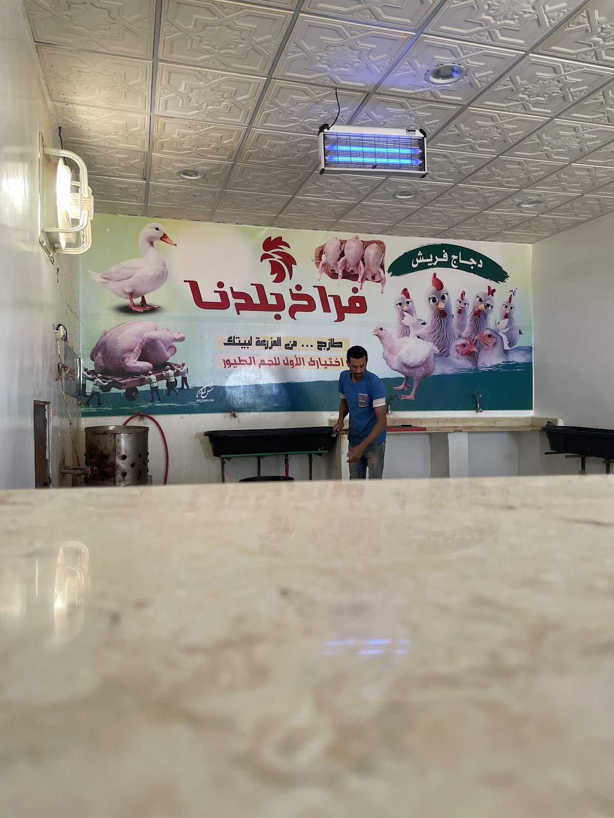 فراخ بلدنا - صورة 2