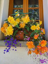 Photo n°19 de Chambres d'Hôtes Les Escladines à Tauves (Chambre d'hôtes)