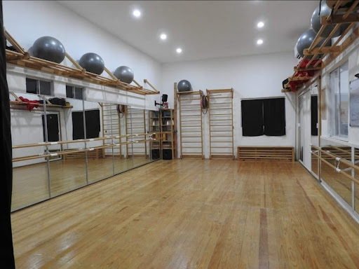 PROYECTO DANZHAREMOS