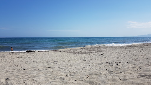 Plage de Pinia Gallery - France