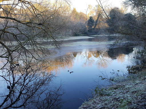 Bourne Valley - Visual