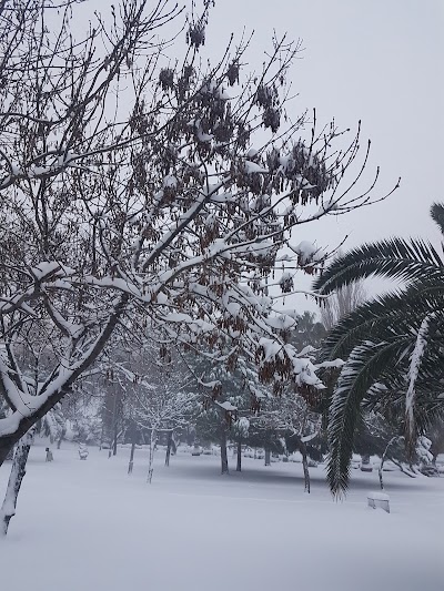 Photos of Sururi Park
