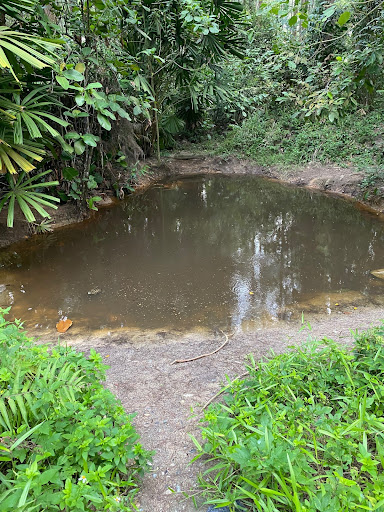 Coney Island Pond - Thumbnail