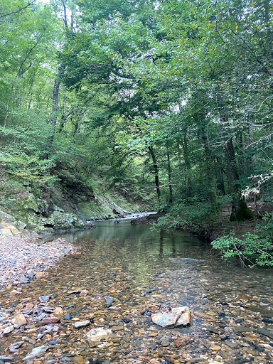 Eagle Rock Loop - Visual