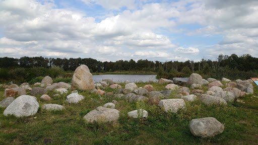 Oosterbos - Visual