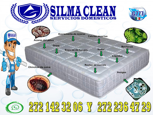SILMA CLEAN - Thumbnail
