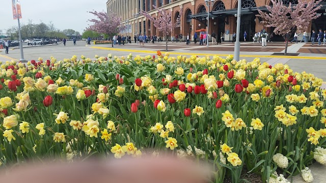 Citi Field