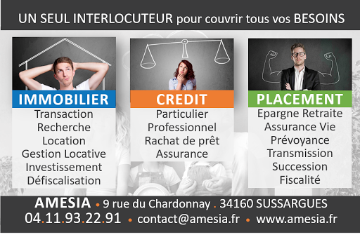 AMESIA - Christian MAISSE - Thumbnail