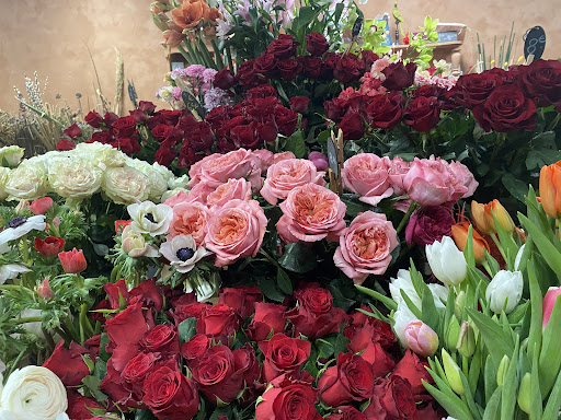 ROSES et botanique - Thumbnail